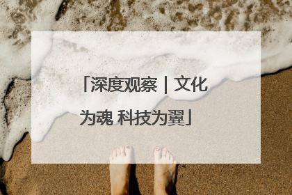 深度观察｜文化为魂 科技为翼