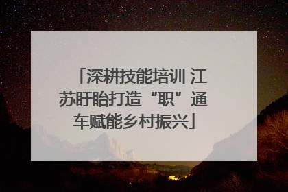 深耕技能培训 江苏盱眙打造“职”通车赋能乡村振兴