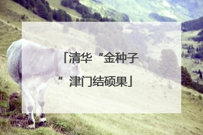 清华“金种子”津门结硕果