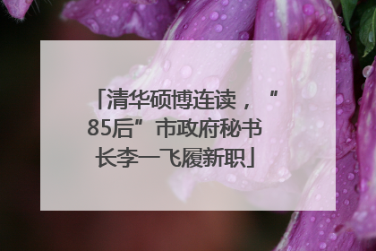 清华硕博连读，“85后”市政府秘书长李一飞履新职