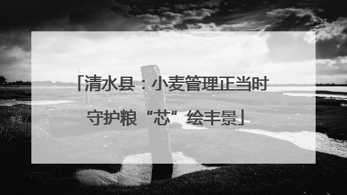 清水县：小麦管理正当时 守护粮“芯”绘丰景