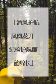 清风护航凤凰花开 纪检护航廉韵绵长