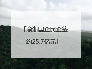 渝浙国企民企签约25.7亿元