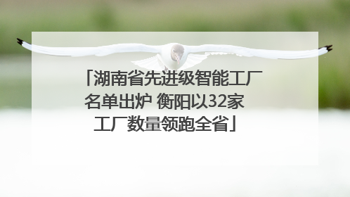 湖南省先进级智能工厂名单出炉 衡阳以32家工厂数量领跑全省