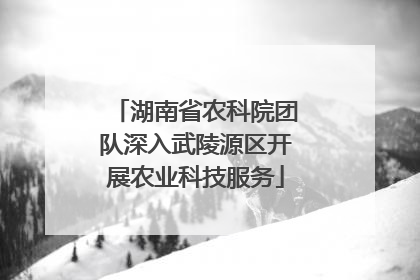 湖南省农科院团队深入武陵源区开展农业科技服务