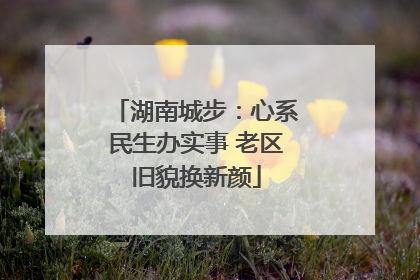湖南城步：心系民生办实事 老区旧貌换新颜