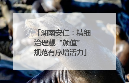湖南安仁：精细治理靓“颜值” 规范有序增活力