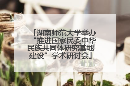 湖南师范大学举办“推进国家民委中华民族共同体研究基地建设”学术研讨会