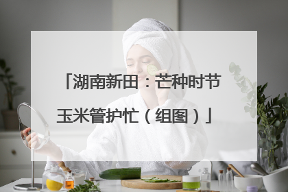 湖南新田：芒种时节玉米管护忙（组图）
