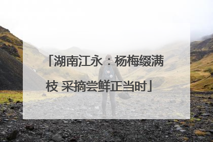 湖南江永：杨梅缀满枝 采摘尝鲜正当时