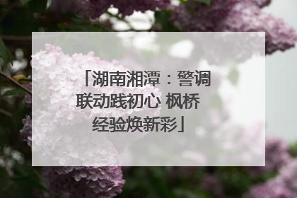湖南湘潭：警调联动践初心 枫桥经验焕新彩