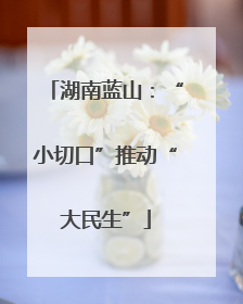 湖南蓝山：“小切口”推动“大民生”