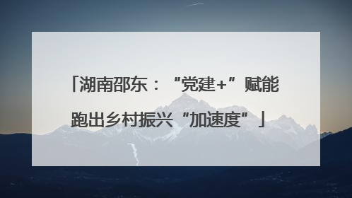 湖南邵东：“党建+”赋能 跑出乡村振兴“加速度”