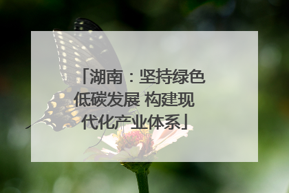 湖南：坚持绿色低碳发展 构建现代化产业体系