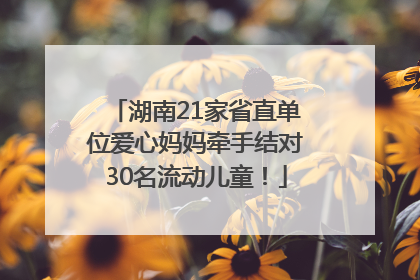湖南21家省直单位爱心妈妈牵手结对30名流动儿童！