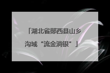 湖北省郧西县山乡沟域“流金淌银”