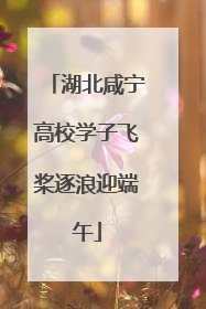 湖北咸宁高校学子飞桨逐浪迎端午