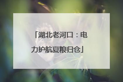 湖北老河口：电力护航夏粮归仓