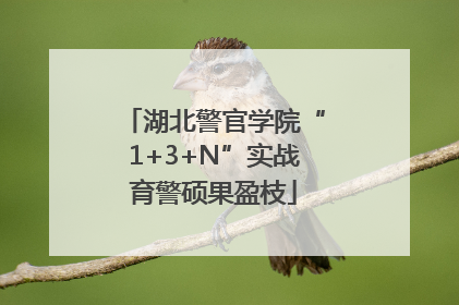 湖北警官学院“1+3+N”实战育警硕果盈枝