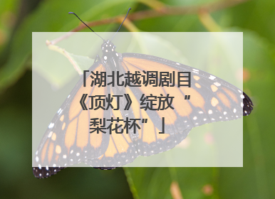湖北越调剧目《顶灯》绽放“梨花杯”