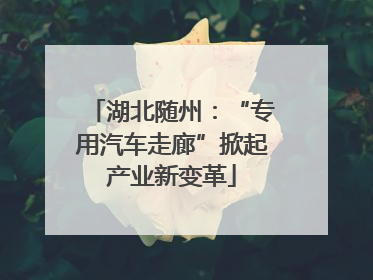 湖北随州：“专用汽车走廊”掀起产业新变革