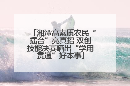 湘潭高素质农民“擂台”亮真招 双创技能决赛晒出“学用贯通”好本事