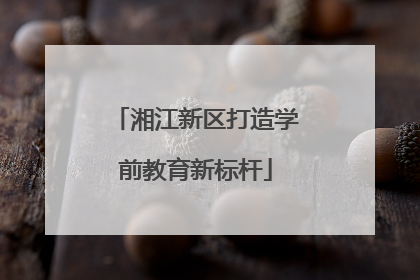 湘江新区打造学前教育新标杆