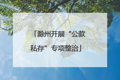 滁州开展“公款私存”专项整治
