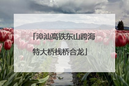 漳汕高铁东山跨海特大桥栈桥合龙