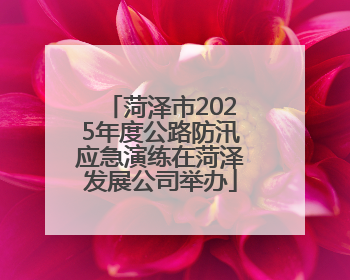 菏泽市2025年度公路防汛应急演练在菏泽发展公司举办
