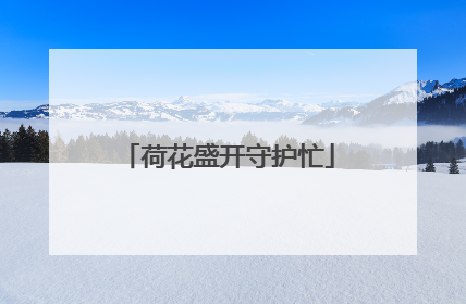 荷花盛开守护忙