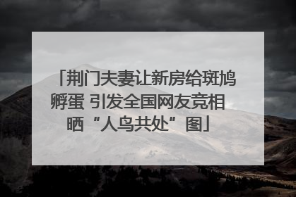 荆门夫妻让新房给斑鸠孵蛋 引发全国网友竞相晒“人鸟共处”图