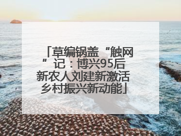 草编锅盖“触网”记：博兴95后新农人刘建新激活乡村振兴新动能