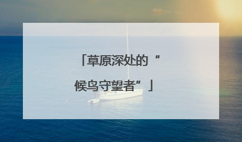 草原深处的“候鸟守望者”