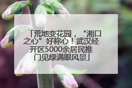 荒地变花园，“湘口之心”好称心！武汉经开区5000余居民推门见绿满眼风景