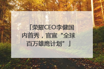 荣耀CEO李健国内首秀，官宣“全球百万雄鹰计划”