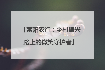 莱阳农行：乡村振兴路上的微笑守护者