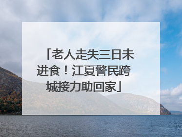老人走失三日未进食！江夏警民跨城接力助回家