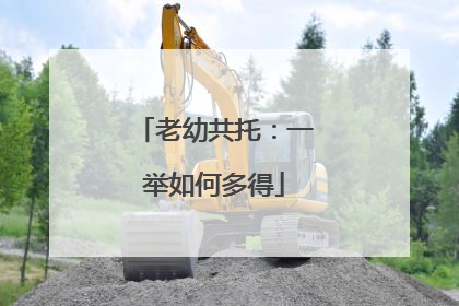 老幼共托：一举如何多得