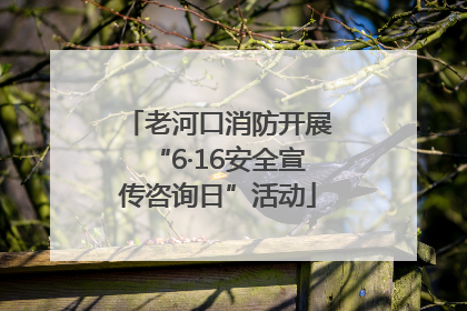 老河口消防开展“6·16安全宣传咨询日”活动