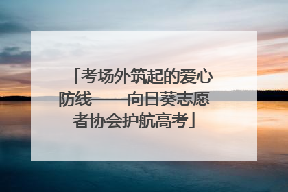 考场外筑起的爱心防线——向日葵志愿者协会护航高考