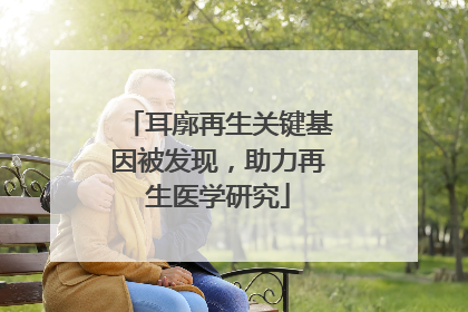 耳廓再生关键基因被发现，助力再生医学研究
