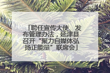 聘任宣传大使、发布管理办法，延津县召开“聚力自媒体弘扬正能量”联席会