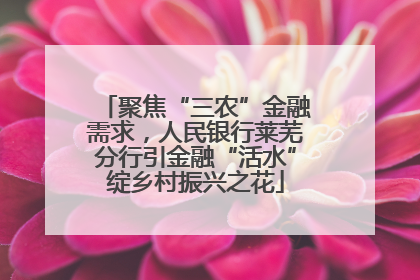 聚焦“三农”金融需求，人民银行莱芜分行引金融“活水”绽乡村振兴之花