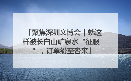 聚焦深圳文博会｜就这样被长白山矿泉水“征服”，订单纷至沓来