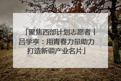 聚焦西部计划志愿者丨吕学亨：用青春力量助力打造新疆产业名片