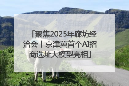 聚焦2025年廊坊经洽会丨京津冀首个AI招商选址大模型亮相