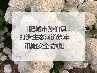 肥城市孙伯镇：打造生态河道筑牢汛期安全防线