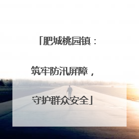肥城桃园镇：筑牢防汛屏障，守护群众安全