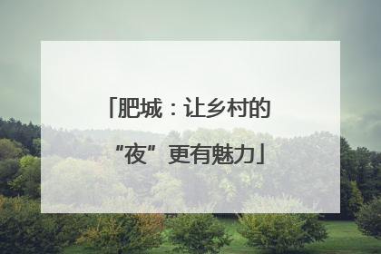 肥城：让乡村的“夜”更有魅力